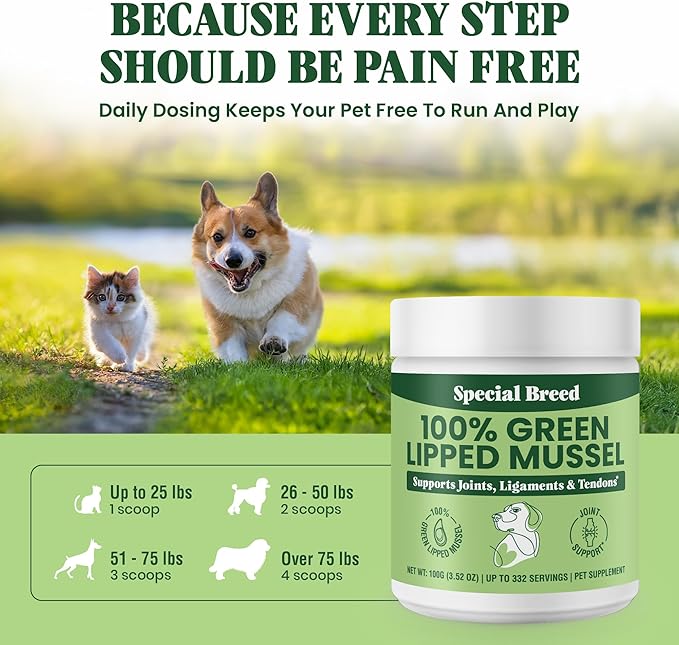 Special Breed Green Lipped Mussel Powder for Dogs &amp; Cats - 100% New Zealand - Natural Hip &amp; Joint Supplement for Joints, Tendons, Ligaments, Muscles - 100 Grams - Up to 332 Servings