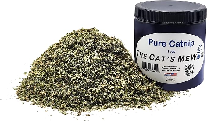 The Cat&