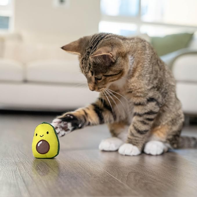 Catstages Lil&