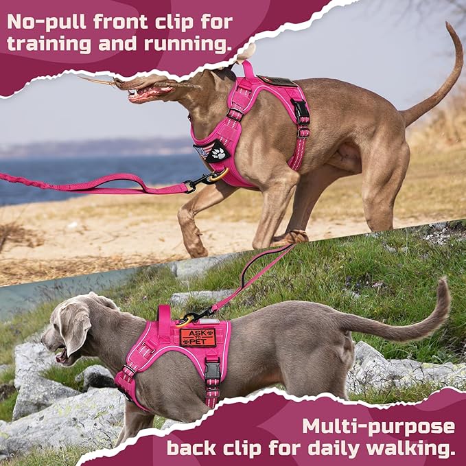 rabbitgoo Tactical Dog Harness Medium Sized Dog, No Pull Military Service Vest with Handle &amp; Molle, Easy Control for Training Walking, Adjustable Reflective Straps, Rose Red, M