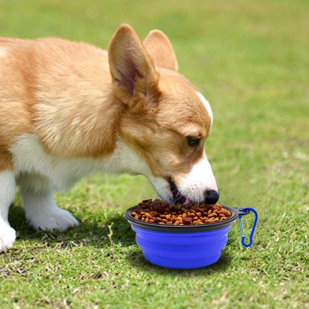 5" Portable and Foldable Small Dog Bowl-Blue (set of 5)