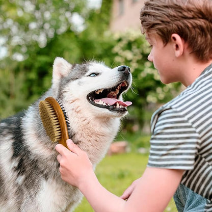 TAKAVU Short Hair Dog &amp; Cat Deshedding Brush - Double Sided Grooming Tool with Silicone Massage &amp; Bristle Sides - Removes Loose Fur &amp; Dirt - Wood Handle