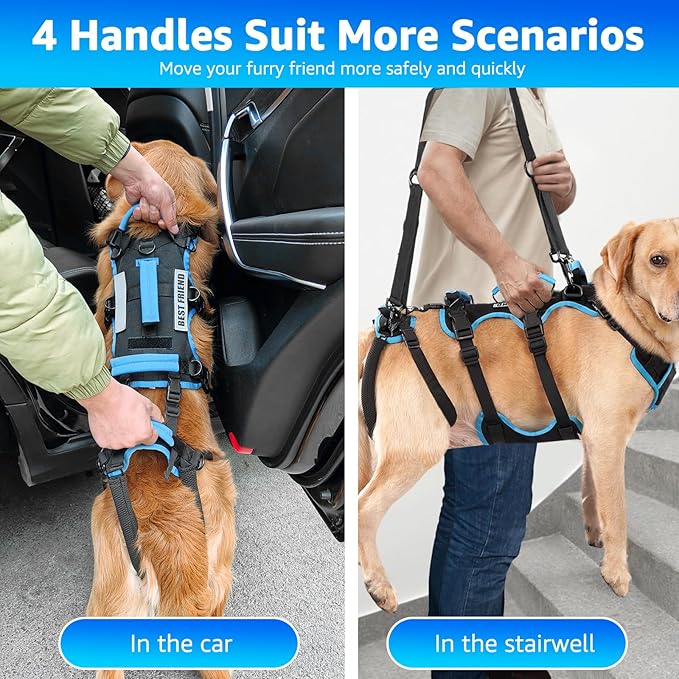 Dog Lift Harness for Large Male Dogs, 2-in-1, Back Leg Support &amp; Mobility Assistance for Senior Dogs, Post-Surgery Recovery Sling(Black, Large)