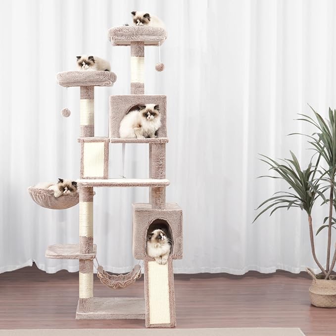 Cat Tree for Indoor Cats, 71&
