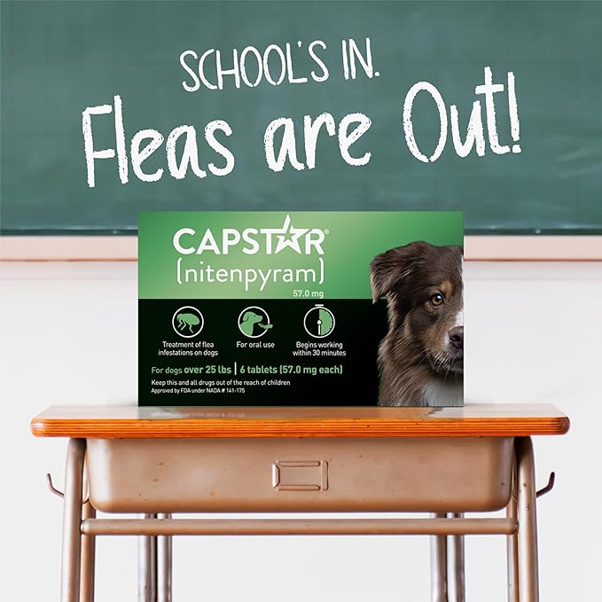 CAPSTAR Oral Flea Treatment for Dogs, Fast Acting Tablets Start Killing Fleas in 30 Minutes, Medium &amp; Large Dogs (Over 25 lbs), 6 Doses