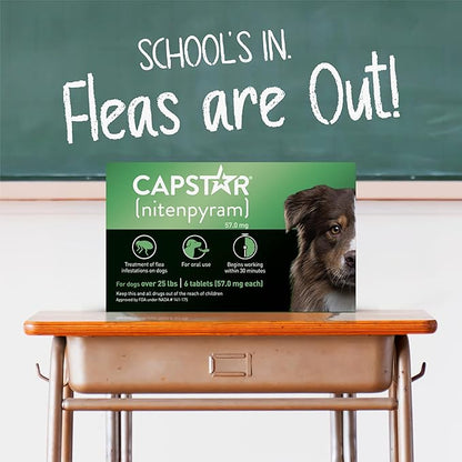 CAPSTAR Oral Flea Treatment for Dogs, Fast Acting Tablets Start Killing Fleas in 30 Minutes, Medium &amp; Large Dogs (Over 25 lbs), 6 Doses