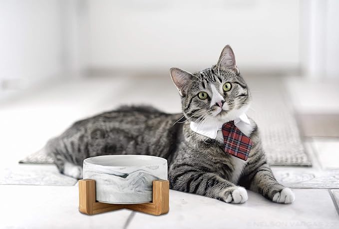Ceramic Pet Bowls with Stand - Dog Cat Water Bowl and Food Dish -Heavy Weighted &amp; No Tip Over Pet Comfort Feeding Bowls -Dishwasher Safe &amp; Easy to Clean