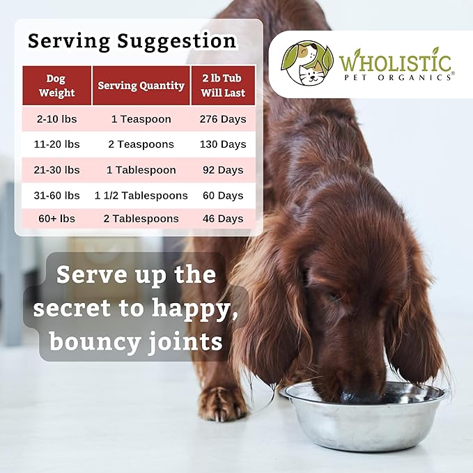 Wholistic Pet Organics Joint Mobility GLM - 2 Lb - Glucosamine for Dogs and Chondroitin Supplement Green Lipped Mussels - Joint Supplement for Dogs - Arthritis Pain Reliever for Large &amp; Small Breeds