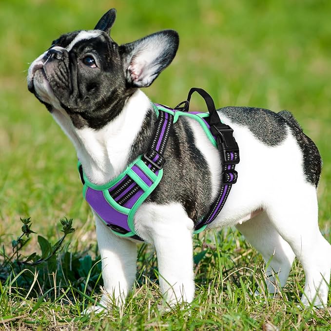 Eagloo Dog Harness Small Sized Dog, No Pull Service Vest with Reflective Strips and Control Handle, Adjustable and Comfortable for Walking, No Choke Pet Harness with 2 Metal Rings, Purple &amp; Green, S