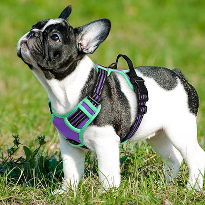 Eagloo Dog Harness Small Sized Dog, No Pull Service Vest with Reflective Strips and Control Handle, Adjustable and Comfortable for Walking, No Choke Pet Harness with 2 Metal Rings, Purple &amp; Green, S