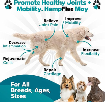 HempFlex - Glucosamine Chondroitin for Dogs - Hemp Oil for Dogs - Safe Dog Joint Supplement for All Breeds - 120 Mobility Hemp Dog Treats - Hip &amp; Joint Support for Dogs - Joint Supplement for Dogs