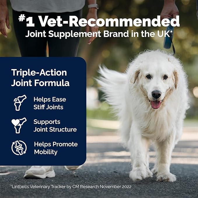 Yumove Hip &amp; Joint Supplement for Dogs - with Glucosamine Chondroitin, Omega 3, Hyaluronic Acid, Green Lipped Mussel &amp; Fish Oil for Dogs - Senior Dog Joint Supplement (240ct Chewable Tablets)