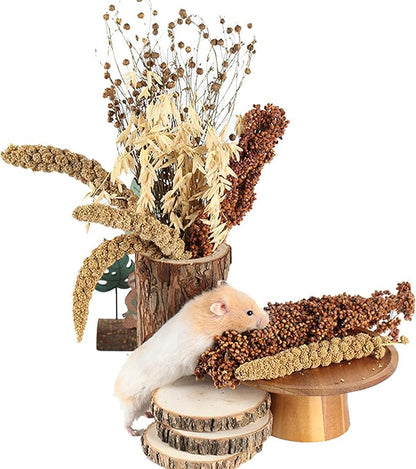 Natural Ear of Grain Flower&amp;Herb Bedding Mate Habitat Decor, Adding Fun Hamster Accessories for Hamsters Gerbils Lemming