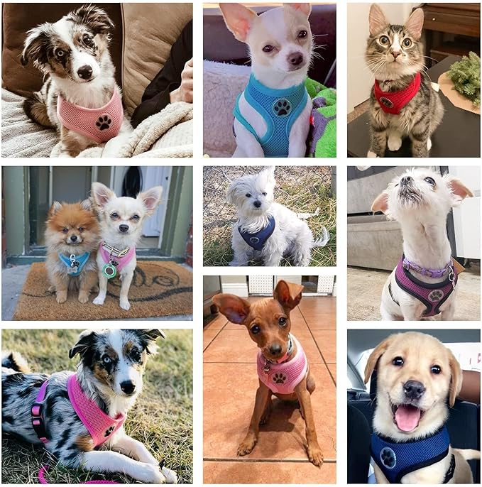 BINGPET No Pull Dog Harness Medium Sized,Breathable Mesh Puppy Cat Harnesses,Pink, M