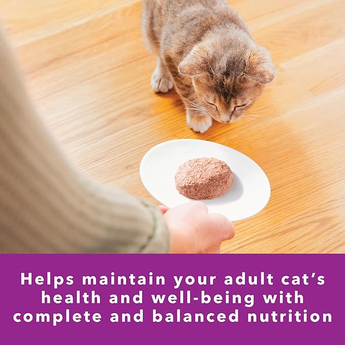 IAMS Perfect Portions Sensitive Digestion &amp; Skin Adult Wet Cat Food Pate, Turkey Recipe, 2.6 oz. Easy Peel Twin-Pack Trays (24 Count, 48 Servings)