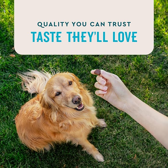 VetIQ Advanced Hip &amp; Joint Chews For Dogs, 60 Count, Chicken Flavored Supplements Made with Glucosamine, Omega 3’s, Chondroitin, MSM &amp; Green Lipped Mussel, Increases Mobility &amp; Maintains Muscles