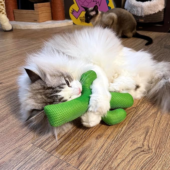 TTcat Catnip Silvervine Matatabi Pillow for Cats &amp; Kittens,Large Cat Cactus Toy Cat Kicker Toy Chew Toy for Indoor Cats.