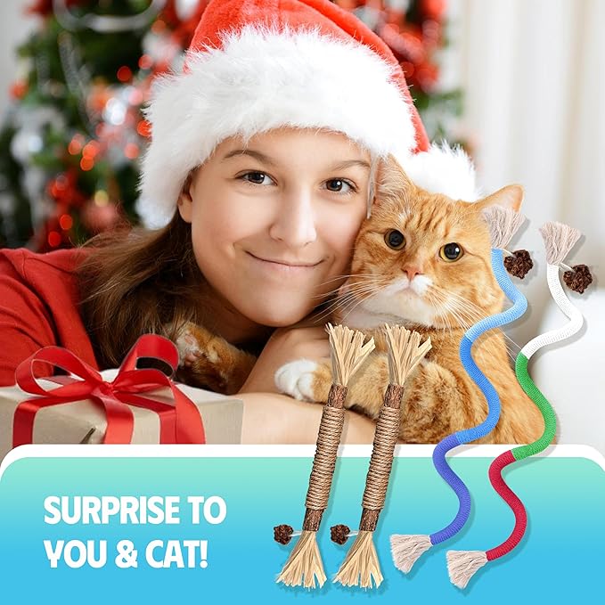 Cat Toys Chew Rope &amp; Silvervine Sticks for Bored Indoor Adult Cats, 4Pcs Interactive Catnip Toys for Cats with Refillable Natural Catnip Bag for Teeth Cleaning