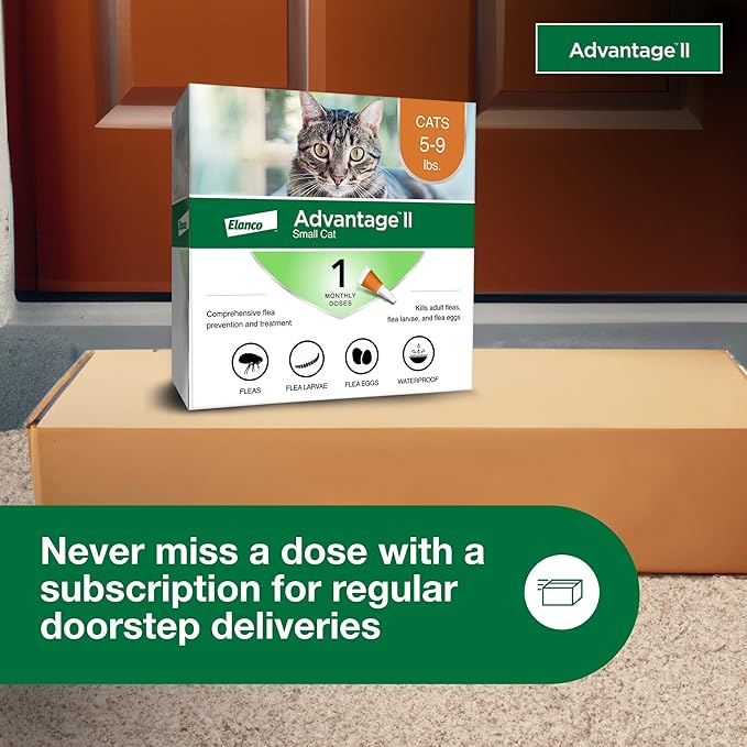 Advantage II Small Cat Vet-Recommended Flea Treatment &amp; Prevention | Cats 5-9 lbs. | 1-Month Supply