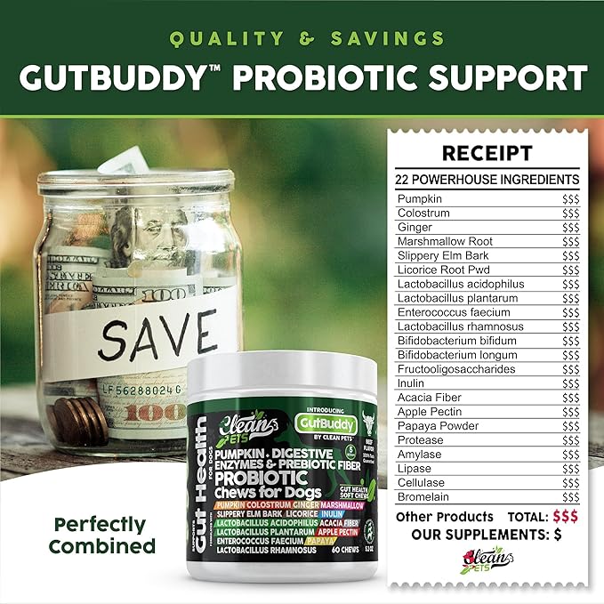 Probiotics for Dogs with Pumpkin, Colostrum, Digestive Enzymes, Ginger, Slippery Elm, Licorice, Inulin Fiber &amp; More | Beef Flavor Soft Chews for Gut Health and Digestion Dog Supplement
