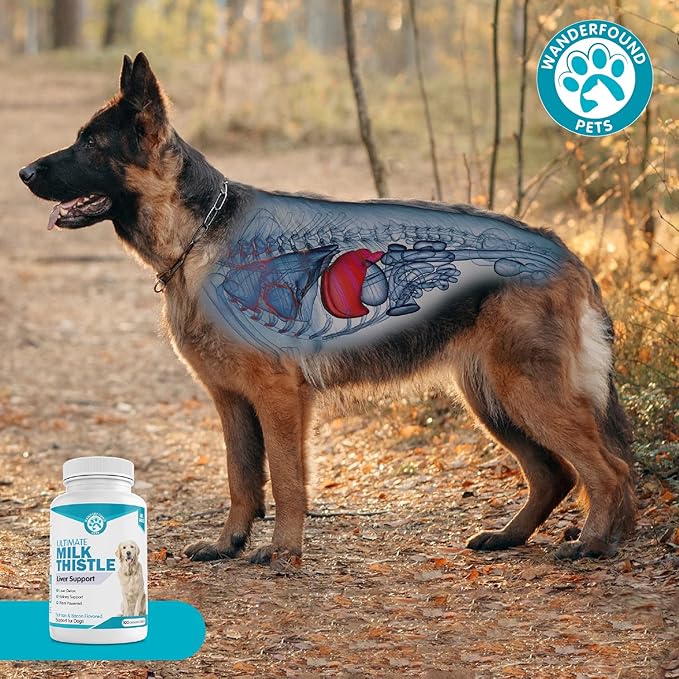 Wanderfound Pets Milk Thistle for Dogs – Tasty Salmon &amp; Bacon Flavored Natural Liver Support for Pets – Kidney Cleanse Detox &amp; Repair Formula Manufactured in The USA – 100 Chewable Tablets
