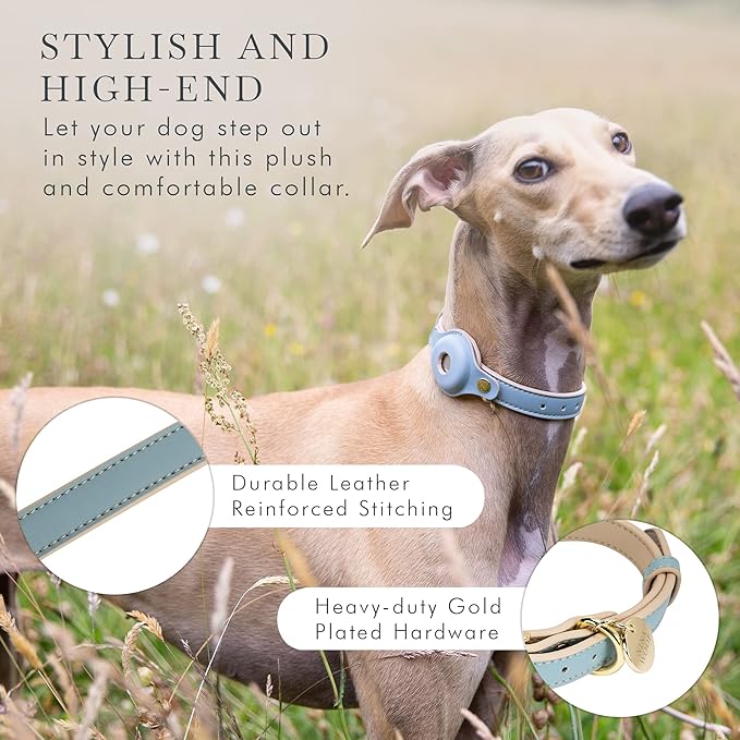 Cupertino Dog Collars, Harnesses &amp; Leashes Made from Vegan Leather with Dog Tracker Device Holder Adjustable Dog Collar (Extra Small, Blue)