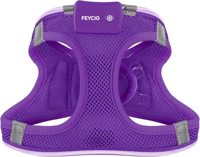 Light Up Dog Harness,Rechargeable LED Dog Harness for Small Medium Large Dogs,Reflective Lighted Safety Vest for Night Walking &amp; Camping,Lightweight &amp; Adjustable,Purple,XS