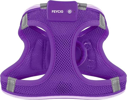 Light Up Dog Harness,Rechargeable LED Dog Harness for Small Medium Large Dogs,Reflective Lighted Safety Vest for Night Walking &amp; Camping,Lightweight &amp; Adjustable,Purple,L