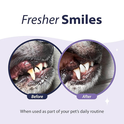 Dental Fresh Advanced Plaque and Tartar Water Additive, 17oz – Dog Teeth Cleaning Formula to Freshen Breath and Improve Cat &amp; Dog Dental Care