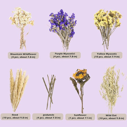 Natural Ear of Grain Flower&amp;Herb Bedding Mate Habitat Decor, Adding Fun Hamster Accessories for Hamsters Gerbils Lemming