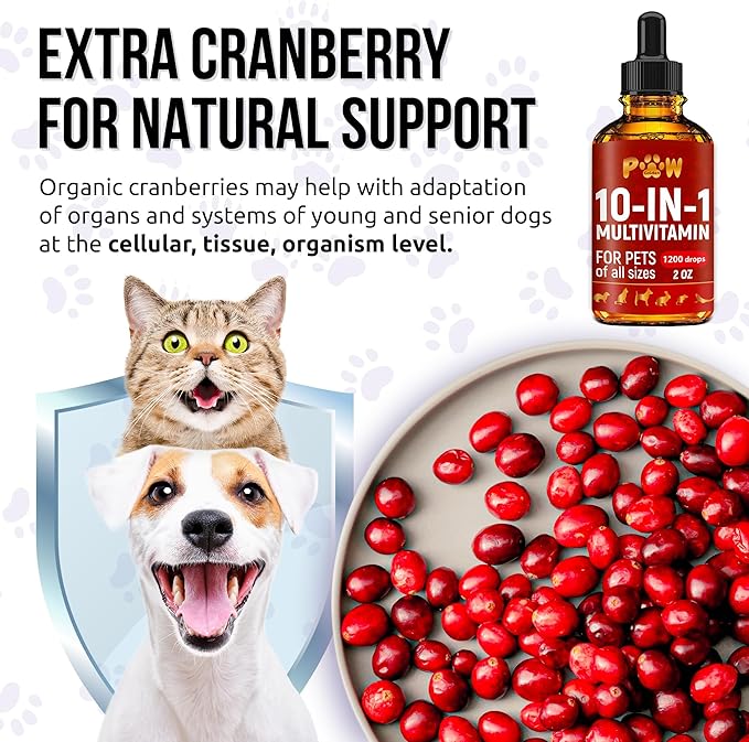 Liquid Multivitamin for Dogs – Daily Glucosamine, Vitamin B, C &amp; D3 Support – Cat Vitamins for Indoor Cats to Care for Joints &amp; HIPS, Skin &amp; Coat, and Gut – Help with Allergies &amp; UTIs – 2 Oz