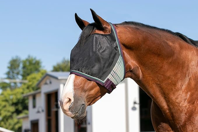 Kensington UViator CatchMask Horse Fly Mask with Web Trim UV Eye Protection Mask for Horse - Medium, Imperial Jade