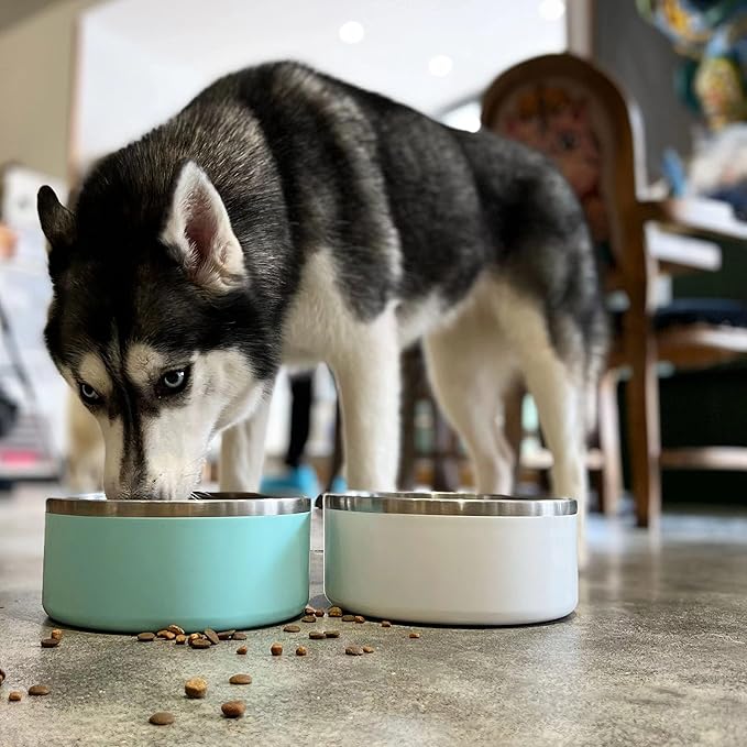 IKITCHEN Dog Bowl for Food and Water, 64 Oz Stainless Steel Pet Feeding Bowl, Durable Non-Skid Double Wall Insulated Heavy Duty with Rubber Bottom for Medium Large Dogs (64 Ounces/8 Cup, White)