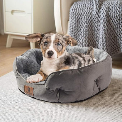 Asvin Small Dog Bed for Small Dogs, Cat Beds for Indoor Cats, Pet Bed for Puppy and Kitty, Extra Soft &amp; Machine Washable with Anti-Slip &amp; Water-Resistant Oxford Bottom, Grey, 20 inches