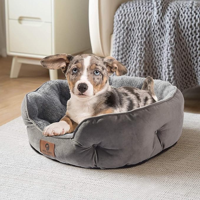 Asvin Medium Dog Bed for Medium Dogs, Cat Beds for Indoor Cats, Pet Bed for Puppy and Kitty, Extra Soft &amp; Machine Washable with Anti-Slip &amp; Water-Resistant Oxford Bottom, Grey, 25 inches