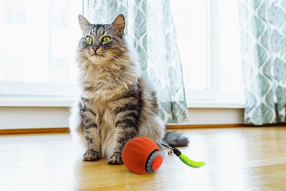 Smart Speedy 3.0 Interactive Cat Ball with Auto Obstacle Avoidance - Indoor Kitten Toy for Mental Stimulation &amp; Playtime Fun ，2025 Edition (Orange)