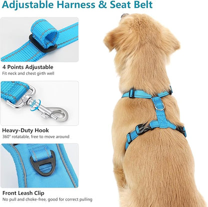 Dog Seat Belt Harness for Car, Dog Car Harness Adjustable Mesh Breathable &amp; Dogs Seatbelt Safety Tether with Elastic Bungee for Small Medium Large Pets(Blue, M)
