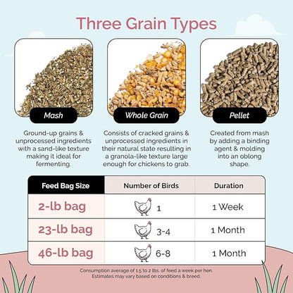 Organic Chicken Feed – Layer Mash, Non-GMO, USA Grown, 16% Protein, Corn-Free, Soy-Free, Non-Medicated Feed for Chickens, 23 lbs