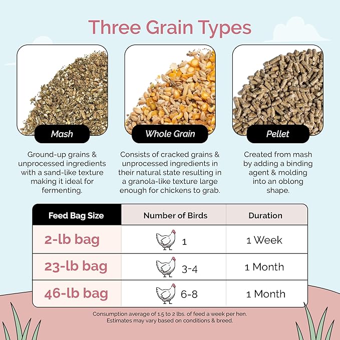 Organic Chicken Feed – Layer Mash, Non-GMO, USA Grown, 16% Protein, Corn-Free, Soy-Free, Non-Medicated Feed for Chickens, 2 lbs Sample