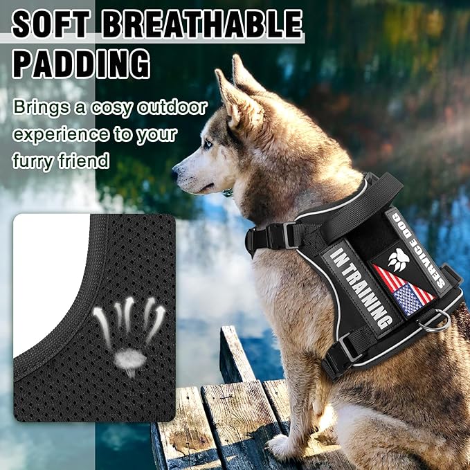 WINSEE Service Dog in Training Harness with 5 PCS Patches, Reflective Tactical Dog Vest Harness, Adjustable Soft Oxford Pet Harness with Easy Control Handle, Hook &amp; Loop Panels for Walking Hiking