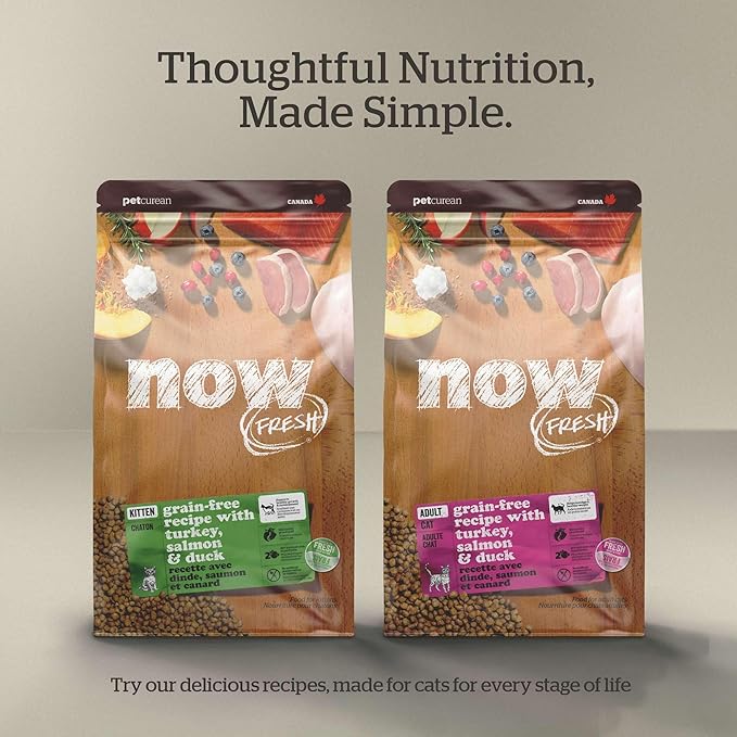 Now Fresh Grain-Free Senior Dry Cat Food with Turkey, Salmon &amp; Duck, Premium Kibble Made with Real Meat &amp; Fish, Chicken-Free Recipe, Supports Healthy Weight Management, 8 lb Bag
