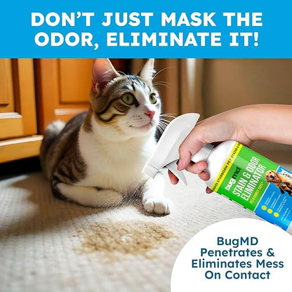 BugMD Enzyme Cleaner for Dog &amp; Cat Urine | Pet Stain and Odor Remover for Carpet &amp; Home | Unscented Urine Destroyer &amp; Deodorizer