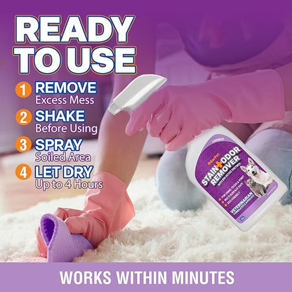 OdorPet Pet Stain Remover and Odor Eliminator - 16 Oz Ready To Use Spray, Non Staining, Professional Strength, Lavender Scent by Alpha Tech Pet