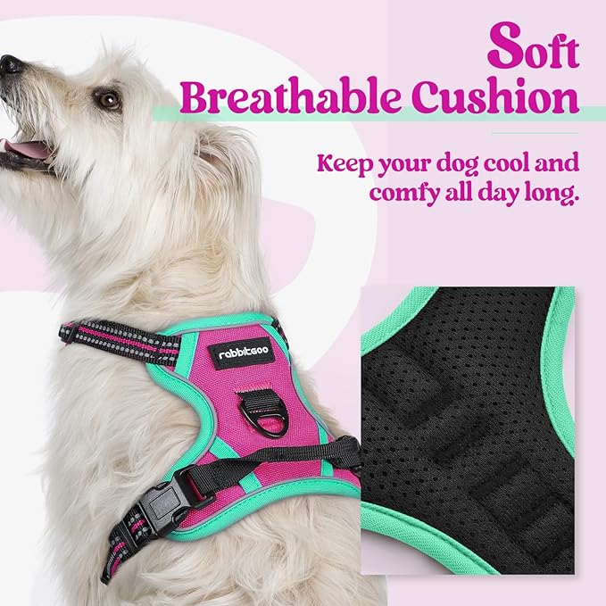 rabbitgoo Dog Harness No Pull with 2 Leash Clips, Adjustable Soft Padded, Reflective Oxford No Choke Pet Vest with Easy Control Handle for Large Dogs, Hot Pink &amp; Turquoise, XS