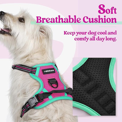 rabbitgoo Dog Harness No Pull with 2 Leash Clips, Adjustable Soft Padded, Reflective Oxford No Choke Pet Vest with Easy Control Handle for Large Dogs, Hot Pink &amp; Turquoise, XS