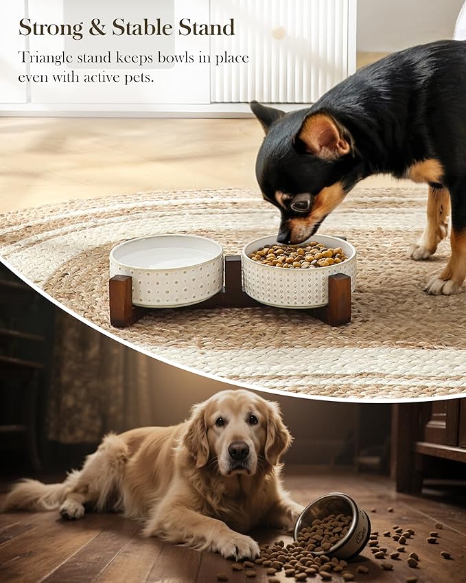 MALACASA Dog Bowl Set with Walnut Wood Stand, 1.5 Cups Ceramic Pet Bowls for Puppy Dogs, Dual Food and Water Bowls with Weighted Non-Slip Base, Basic Bowls for Your Dog or Cat, Rhombic &amp; Polka Dots