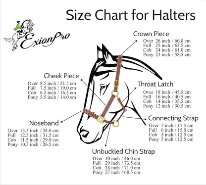 Exion Leather Horse Halter with Padding &amp; Clincher Studs – Adjustable Quick‑Release Crownpiece Halter for Horses – Vegetable‑Tanned Leather in Black &amp; Brown – Cob, Full &amp; Oversize