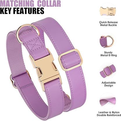 PET ARTIST PU Leather Dog Collar, Bright &amp; Stylish Purple Dog Collar Girl with Quick Release Gold Metal Buckle, Soft Nylon Padded Durable Pet Collars Adjustable for Medium Dogs, Neck Fit 13-19"
