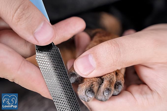 Dog Nail Filer, Professional Nail Grooming Tool, Dog and Cat Nail Files, for Smoothing Rough Edges of Pet’s Nails, Best Nail Filer for Small/Large Dogs &amp; Cats (3 Dog Nail Filers Set)