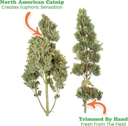 Meowijuana | Dried Catnip Buds Jar | Premium Organic Catnip | Grown in North America | Perfect for Cat Toys | Fresh Catnip for Extended Playtime | Elevate Your Cat&